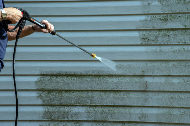 Professional Pressure Washing Services in Dimondale, MI